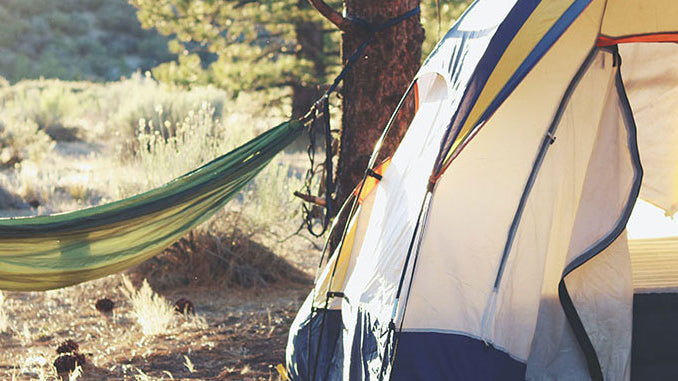 5 Free Camping Apps You Are Sure to Love